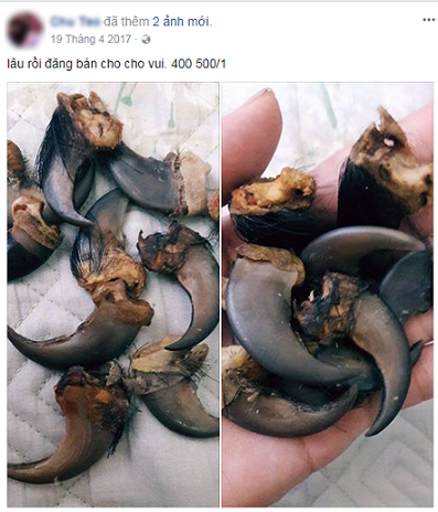 Năm[-]2019:[-]Cần[-]tuyên[-]chiến[-]mạnh[-]hơn[-]với[-]loại[-]hình[-]tội[-]phạm[-]về[-]ĐVHD[-]trên[-]Internet